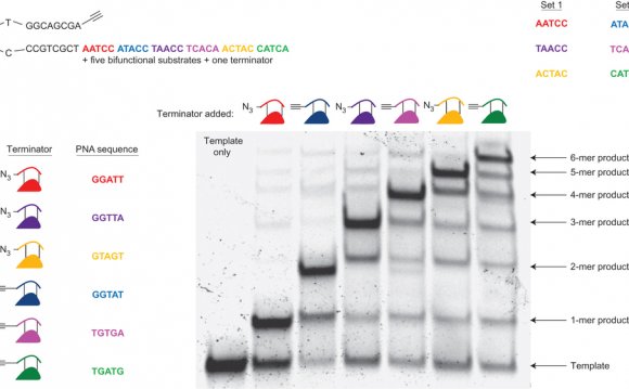 Sequence specificity of