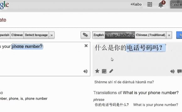 Google Translate Chinese