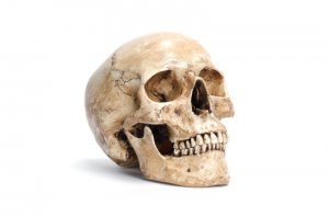 Modern Day Hamlet Finds Skull-Shaped Chip, Good Reminder We'll All Die