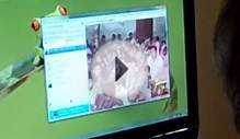 Skype Service with Word of Life Church in Pakistan